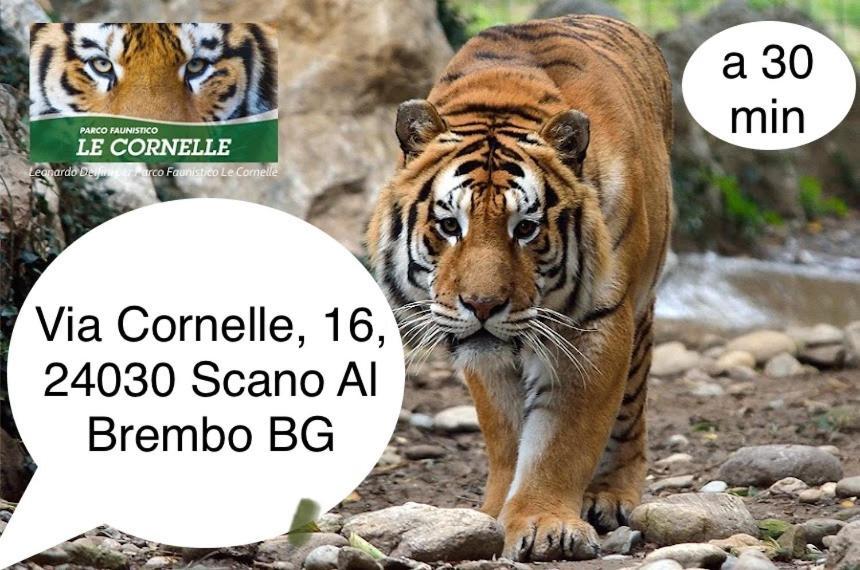 Villa 2 Cassano dʼAdda Kültér fotó